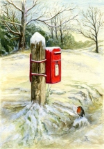 Postbox and Robin